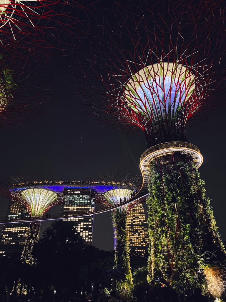 Светящиеся супердеревья в Gardens by the Bay