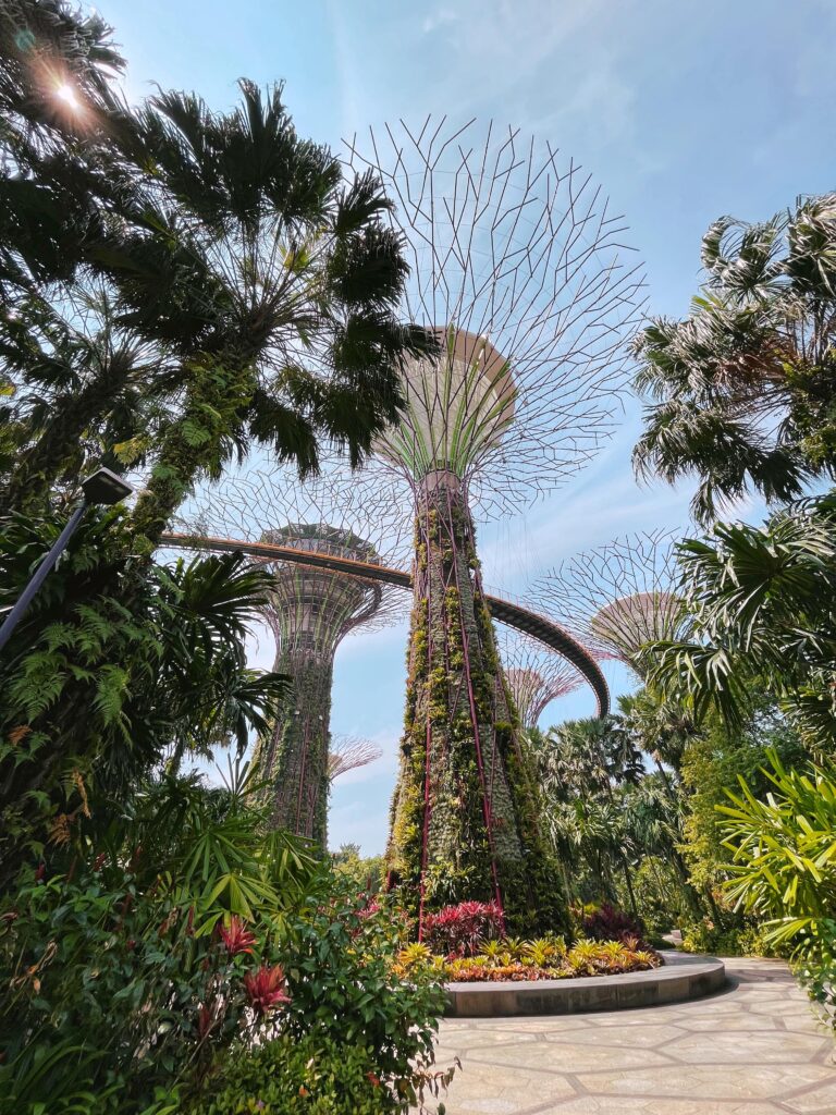Supertree Grove в Сингапуре